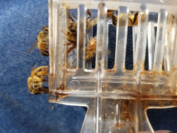 20180815_101707.jpg