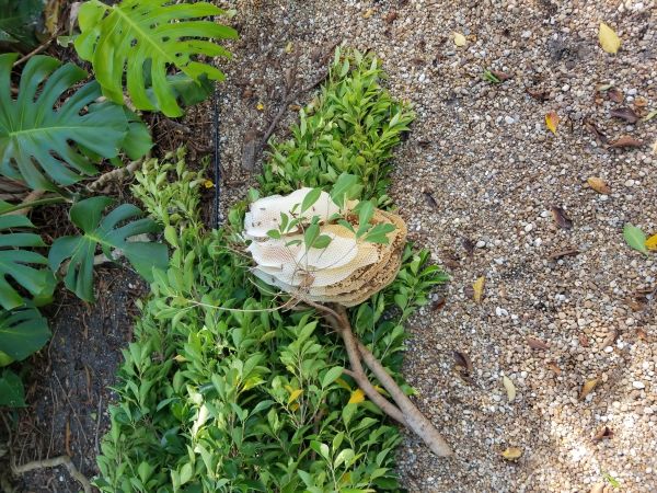 20180815_101740.jpg