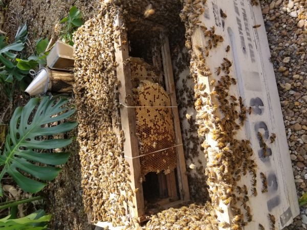 20180815_102850.jpg