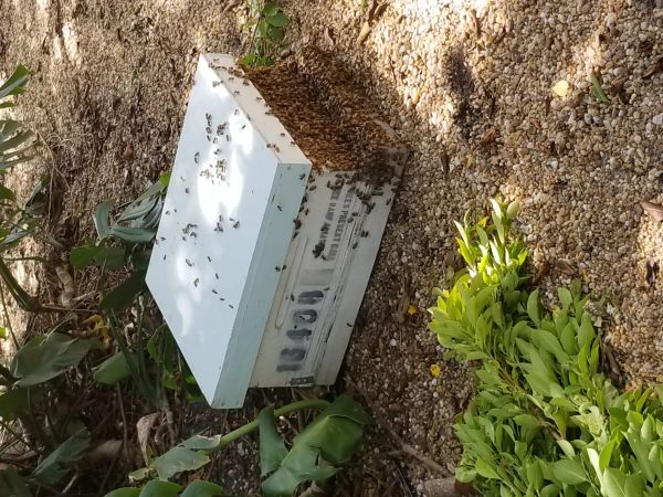 20180815_103937.jpg