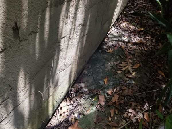 20180815_120252.jpg