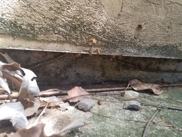 20180815_120307.jpg