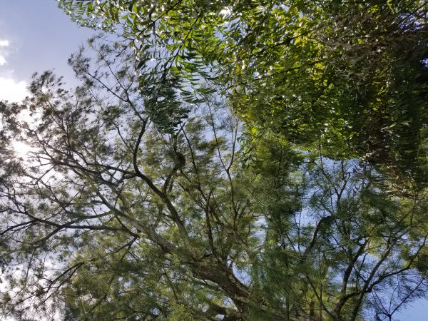 20180815_133835.jpg