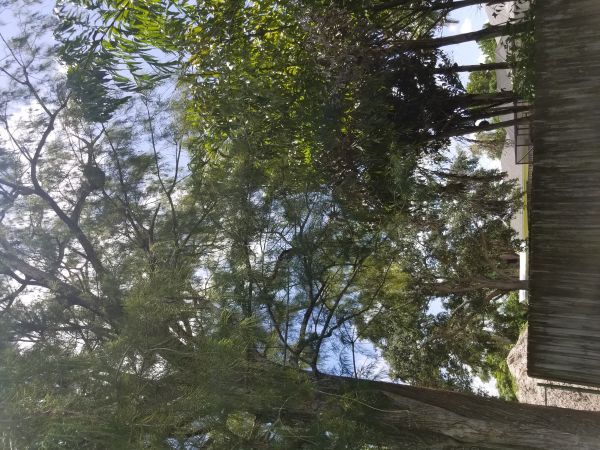 20180815_134608.jpg