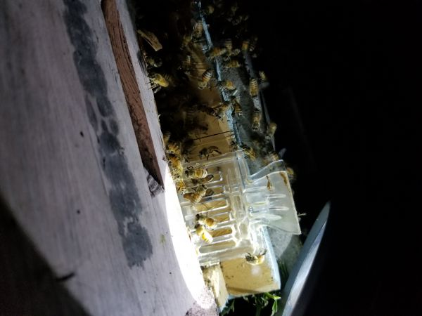 20180816_204828.jpg