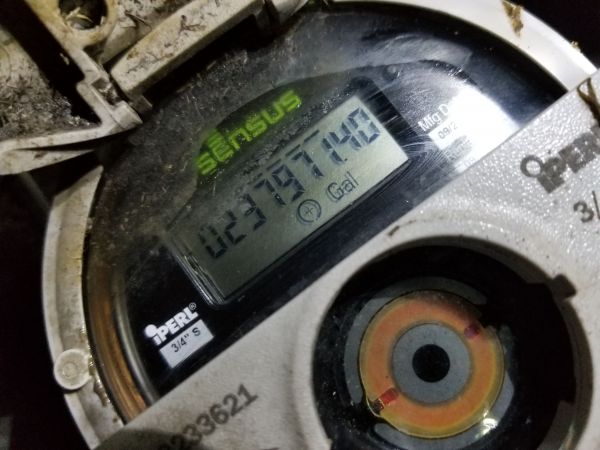 20180816_205333.jpg