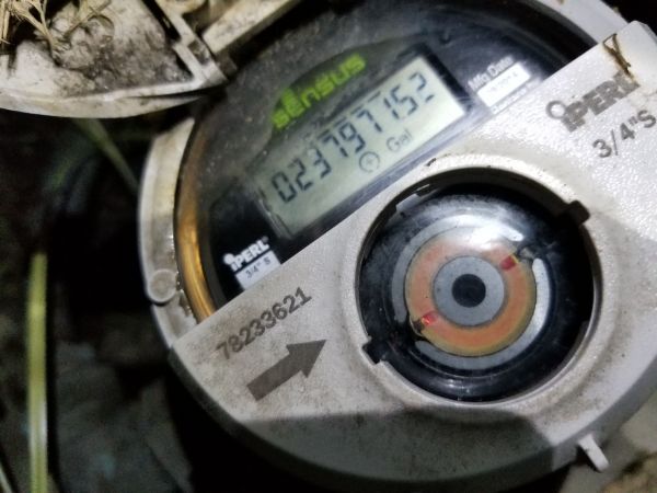 20180816_205339.jpg