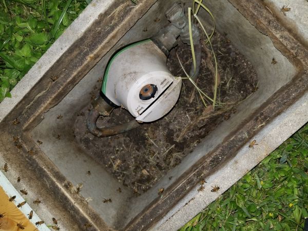 20180816_205833.jpg