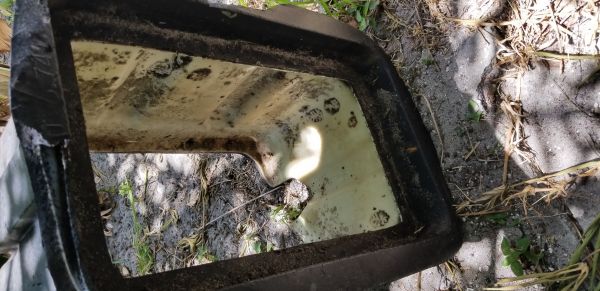 20180817_130722.jpg