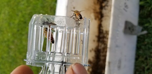 20180817_141350.jpg