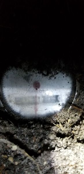 20180817_203633.jpg