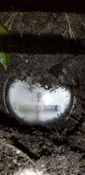 20180817_203644.jpg