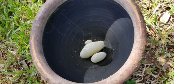 20180821_114627.jpg