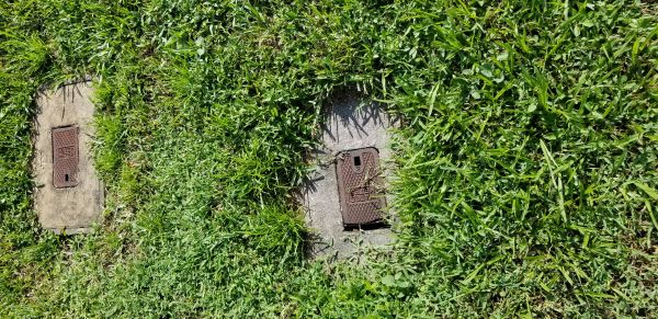 20180821_164352.jpg