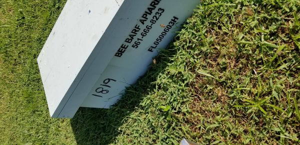 20180821_165859.jpg