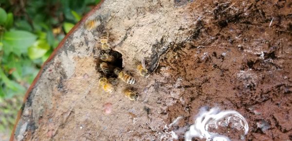 20180822_125130.jpg