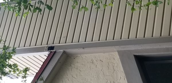 20180823_132730.jpg