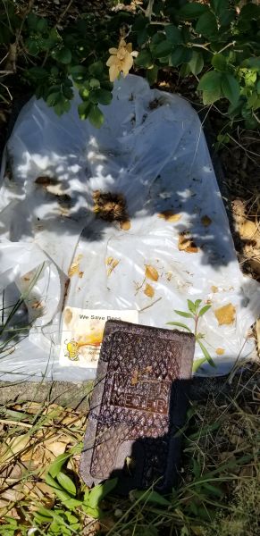20180824_120736.jpg