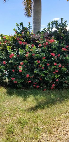 20180824_121428.jpg