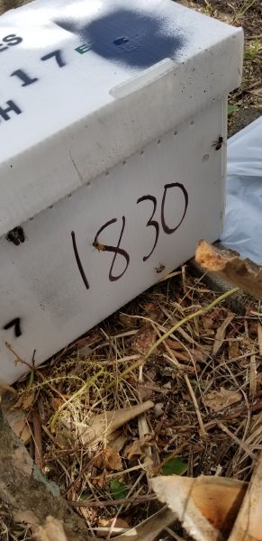 20180829_123514.jpg