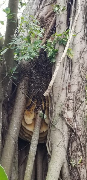 20180829_172333.jpg