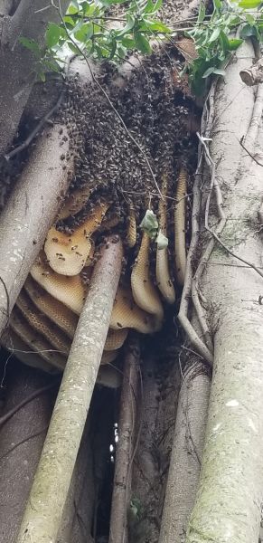 20180829_172412.jpg