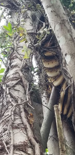 20180829_172529.jpg