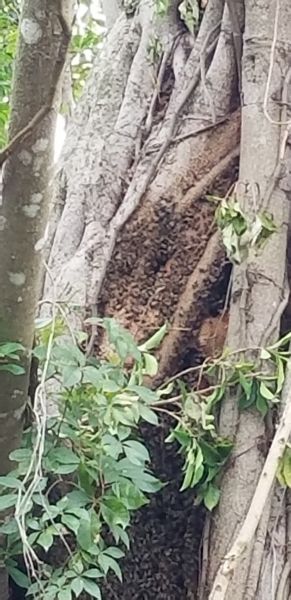 20180829_172617.jpg