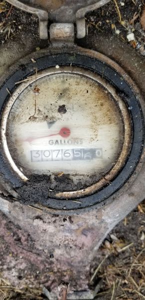 20180830_173908.jpg