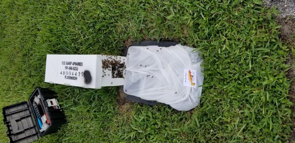 20180830_174743.jpg