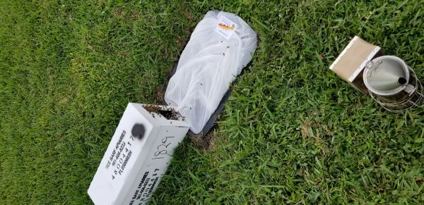 20180830_174750.jpg