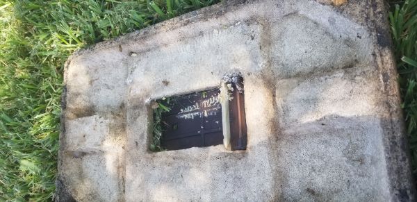 20180917_143811.jpg