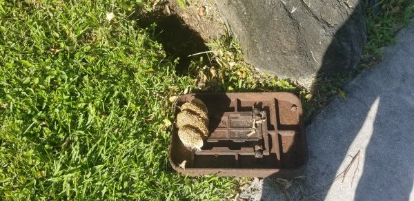 20180917_164727.jpg