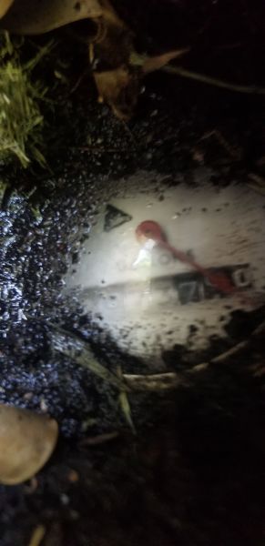 20180917_164917.jpg