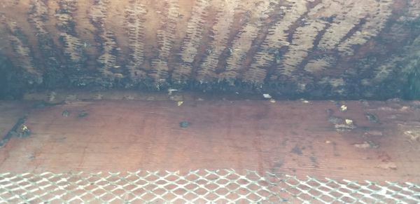 20180926_111258.jpg