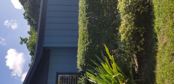 20180926_152511.jpg