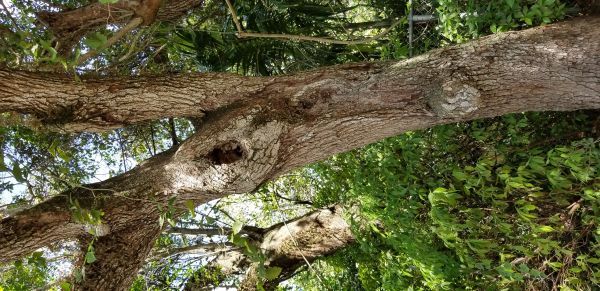 20181003_125554.jpg