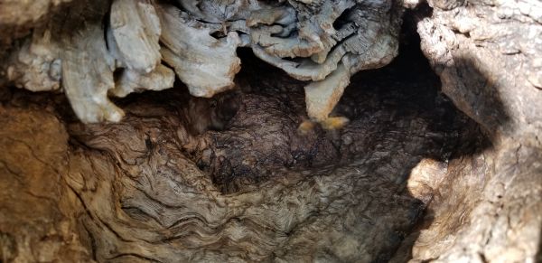 20181003_130447.jpg