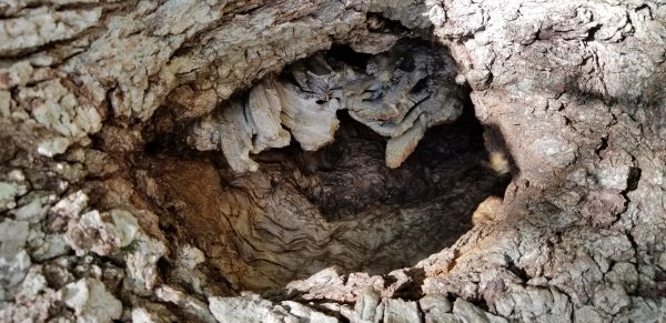 20181003_130449.jpg