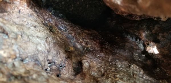 20181003_130456.jpg