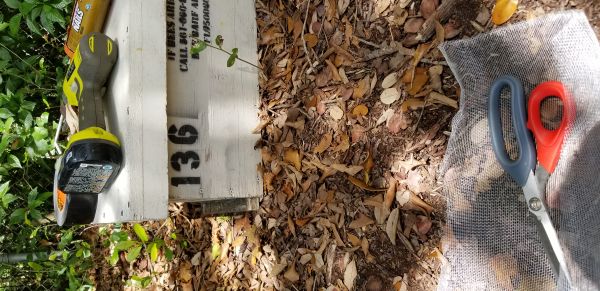 20181003_132159.jpg
