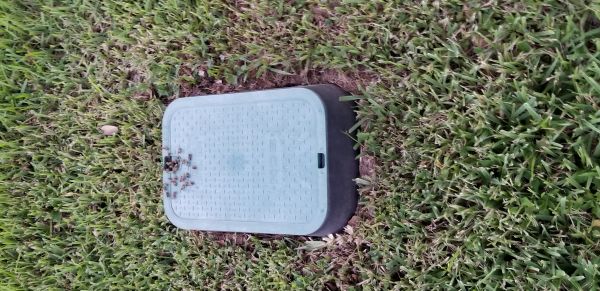 20181003_190841.jpg