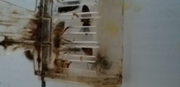 20181003_192310.jpg