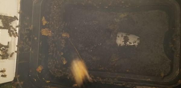 20181003_194200.jpg