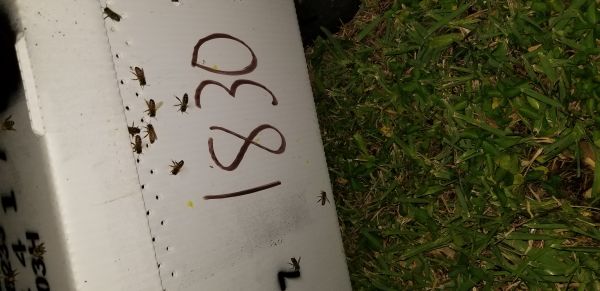 20181003_194214.jpg