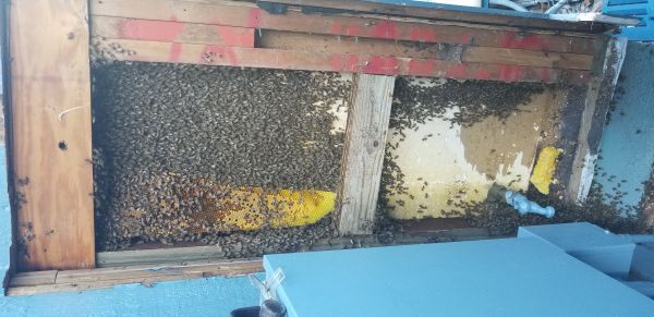 20181005_101633.jpg