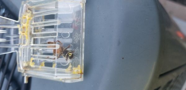 20181005_112243.jpg