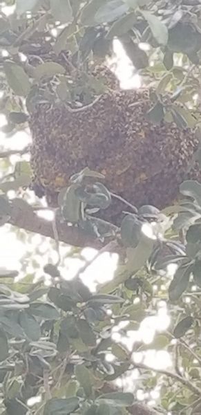 20181009_175706~0.jpg