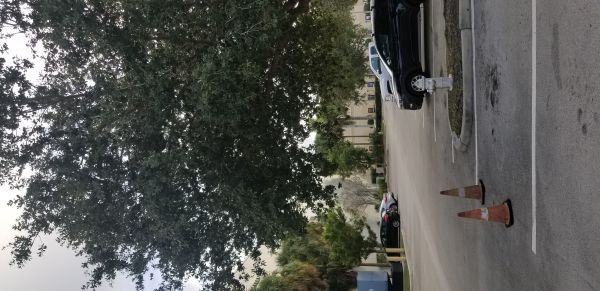 20181009_175717.jpg
