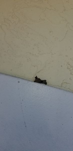 20181018_114616.jpg